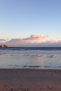 Book cover image for Along The Shoreline