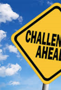 Book cover image for Challenge Entries