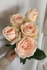 Book cover image for love letters and lost stories