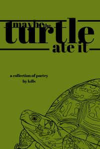 Book cover image for Maybe The Turtle Ate It