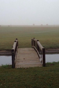 Book cover image for It Was Always You