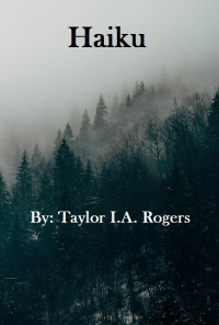 Book cover image for Haiku