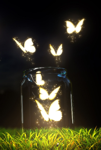 Book cover image for A Collection of Passing Thoughts