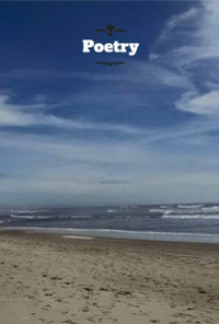 Book cover image for Poems