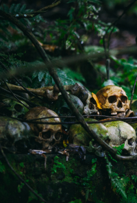 Book cover image for Accounts of Kent Blackburn