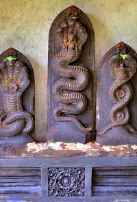 Book cover image for Indian sleeping beauty