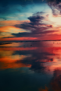 Book cover image for Colors