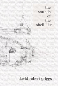 Book cover image for The Sounds of the Shell-like