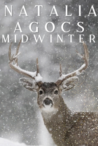 Book cover image for Midwinter