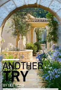 Book cover image for Another Try