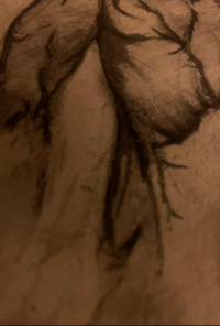 Book cover image for Cano