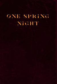 Book cover image for One Spring Night