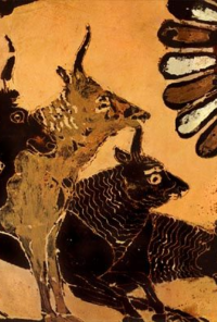 Book cover image for And Perhaps Dying Slowly Is Not So Bad