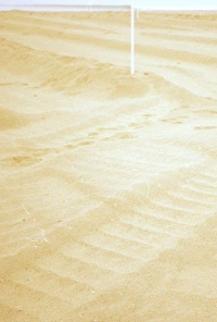 Book cover image for 