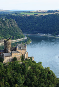 Book cover image for A Collection of Poems