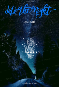 Book cover image for Into the Night