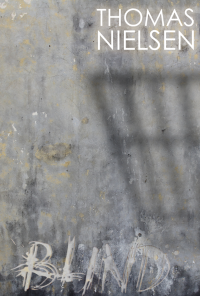 Book cover image for Blind