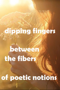 Book cover image for dipping fingers between the fibers of poetic notions