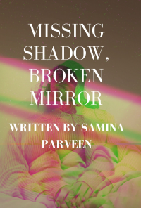 Book cover image for Missing Shadow, Broken Mirror
