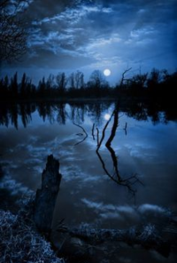 Book cover image for Controlling Madness