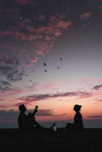 Book cover image for Transferring the Stars Message