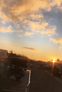 Book cover image for Sunrise