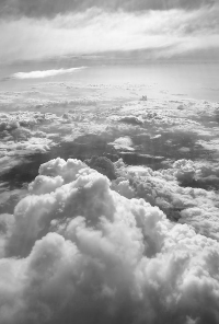 Book cover image for in my dreams