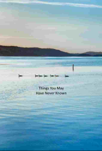 Book cover image for Things You May Have Never Known