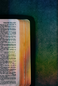 Book cover image for Trinity