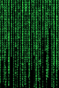 Book cover image for The Anomaly