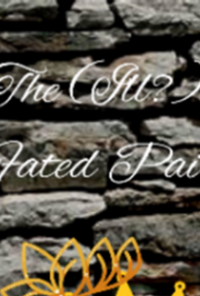 Book cover image for The (Ill?) Fated Pair