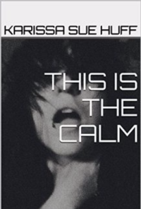 Book cover image for This Is the Calm