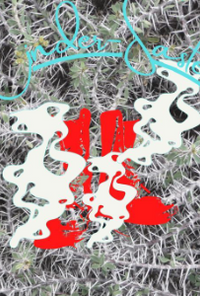 Book cover image for Cinder-saster