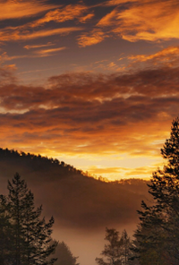 Book cover image for Road to HOME