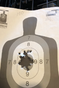 Book cover image for Aiming for the Heart