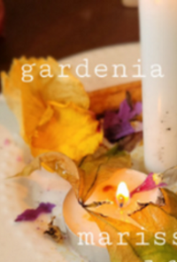 Book cover image for Gardenia