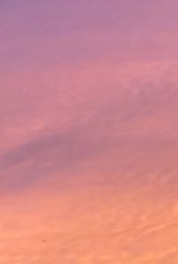 Book cover image for Forms New and Old