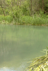 Book cover image for An idiot's life