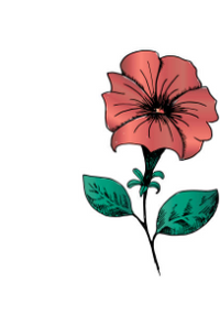 Book cover image for My Sweet Petunia Chapter 5: The Times of Our Lives