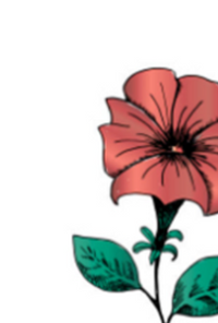 Book cover image for My Sweet Petunia: All Chapters