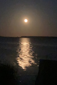 Book cover image for Tales of Everything