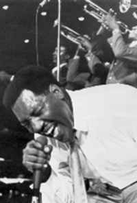 Book cover image for The Ascension of Soulsville, USA