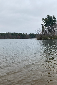 Book cover image for Ledlevee’s Journals