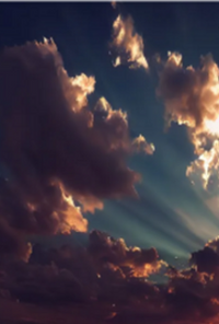 Book cover image for tea amidst ....