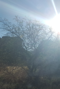 Book cover image for Cathartic Aspirational Inspirations of sorts