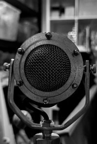 Book cover image for Words of the day