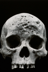 Book cover image for Shadows of The Mind