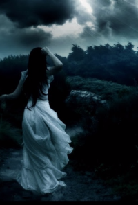 Book cover image for The Witches of Worcester