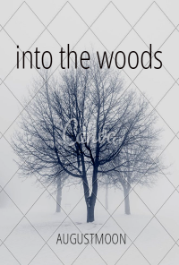 Book cover image for Into The Woods
