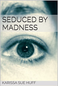 Book cover image for Seduced By Madness